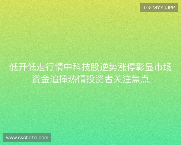 低开低走行情中科技股逆势涨停彰显市场资金追捧热情投资者关注焦点