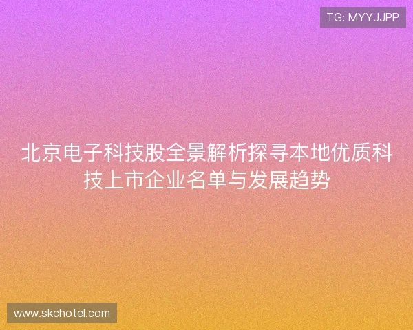 北京电子科技股全景解析探寻本地优质科技上市企业名单与发展趋势 北京电子科技股全景解析探寻本地优质科技上市企业名单与发展趋势